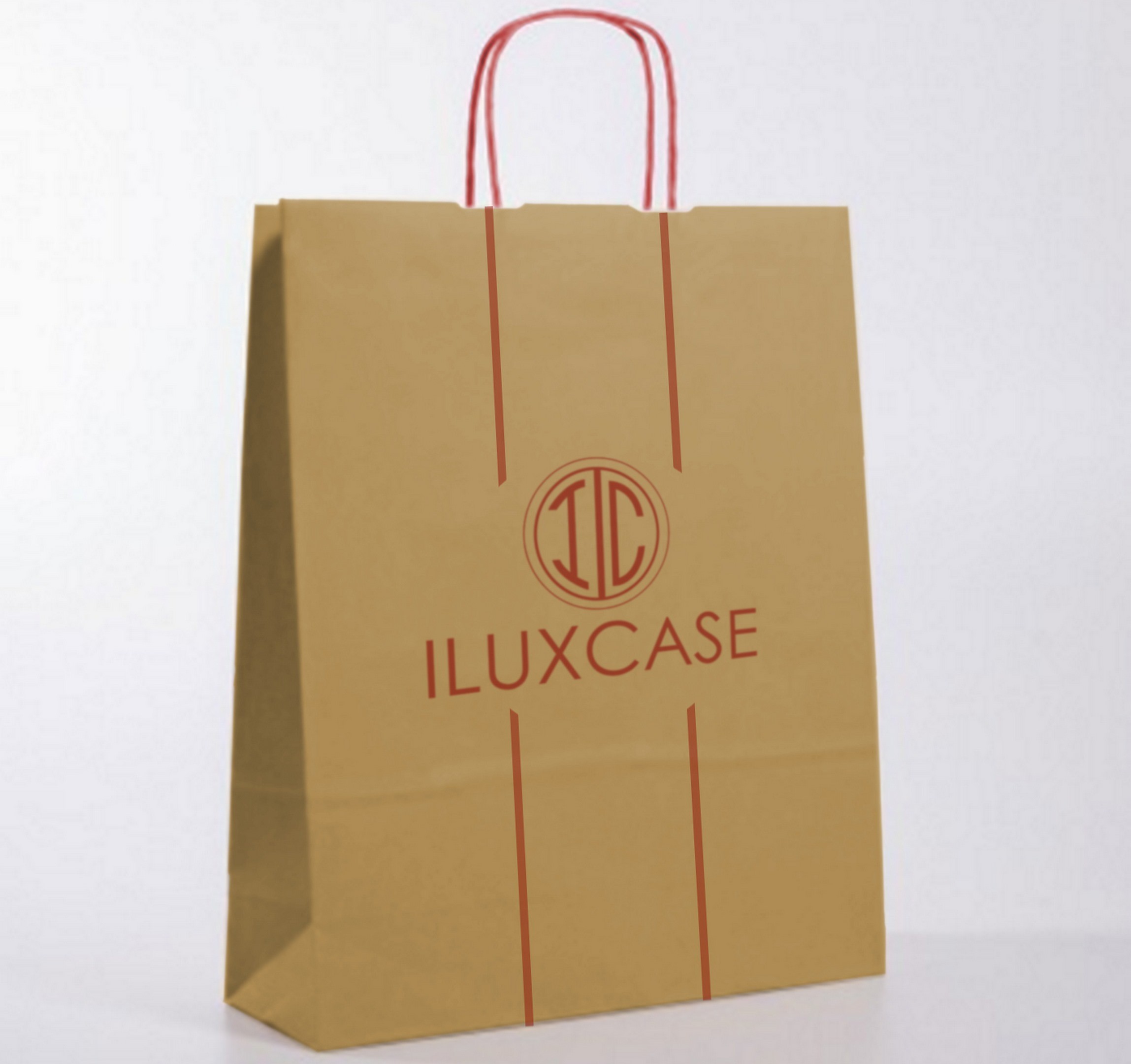Sac kraft avec poignées torsadées